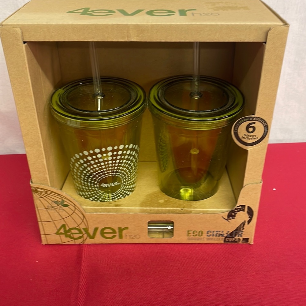 4Ever H20 Double Walled Cups with 6 Straws